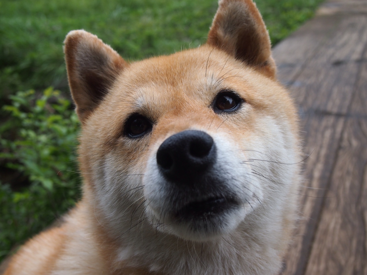 险胜背后，他打服了全场