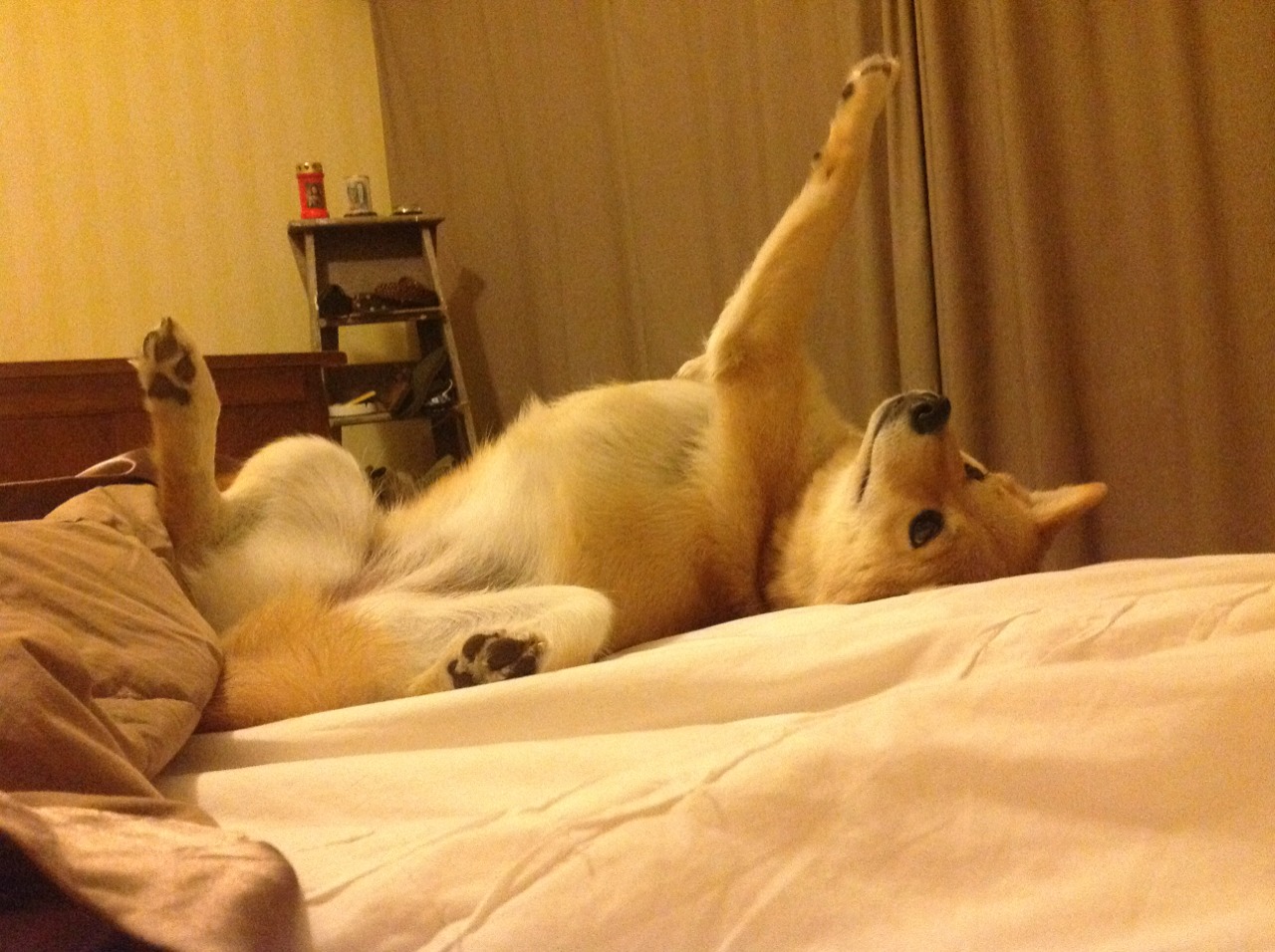 巴黎迷雾中的绝地反击，雷诺战术铁幕下汉密尔顿如何撕裂阿斯顿马丁防线