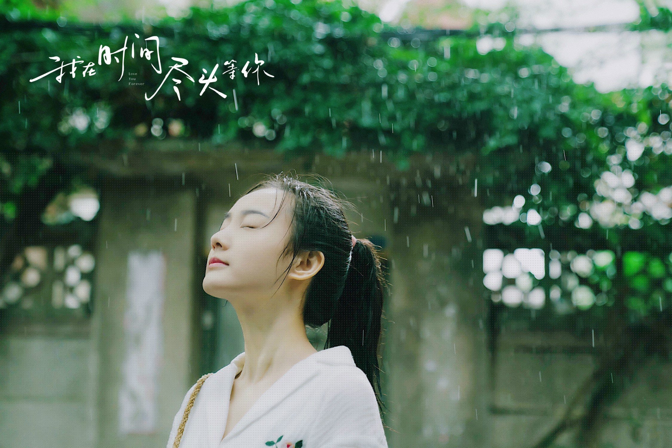 赛道上的叛逆诗歌,威廉姆斯轻取阿斯顿马丁,塞恩斯以一肩扛起整支车队的重量