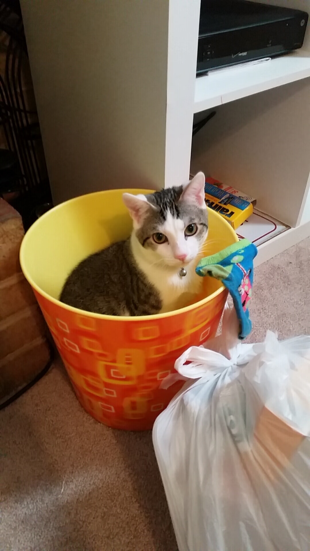 反脆弱时刻，日本队的逆转与戴资颖的制胜