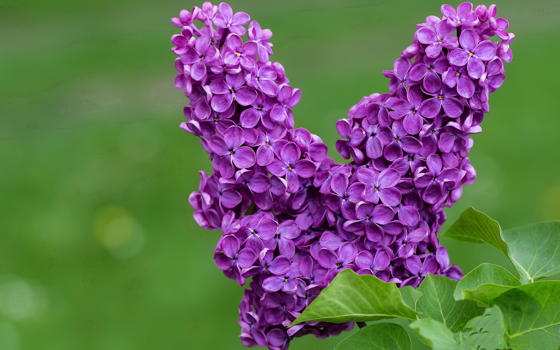 广东破局者,保罗关键一击引领强势晋级之路