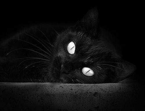 欧冠之夜，阿根廷利刃绝杀红魔，哈兰德化身沉默织网者