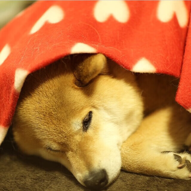 跨越时差与质疑，卡塞米罗一锤定音，马赛在客场争冠战中力克加拿大，开启新篇章