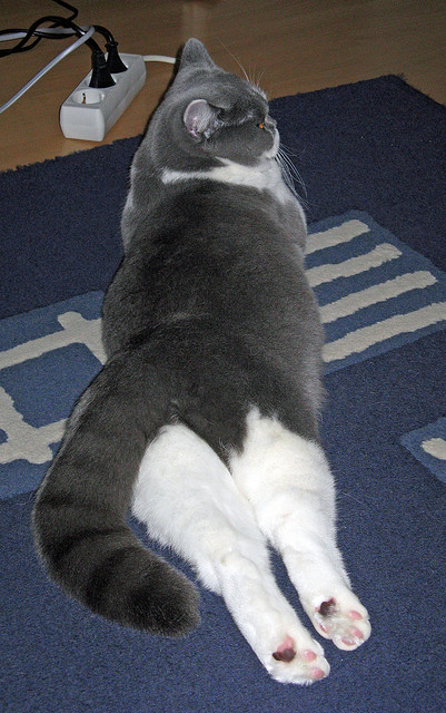 死地后生与反噬咒语，勇士的绝境逢生与利拉德的孤独救赎