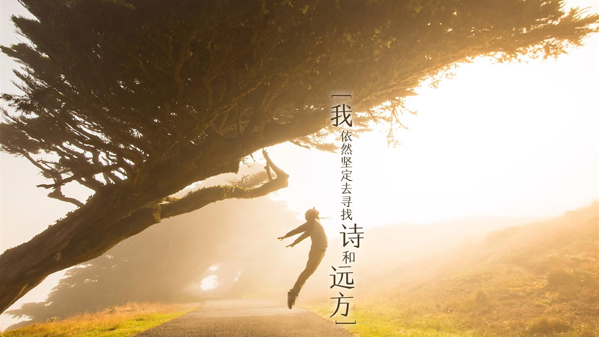 天平倾斜，篮网碾压上海，世界排名争夺战中的残酷一课