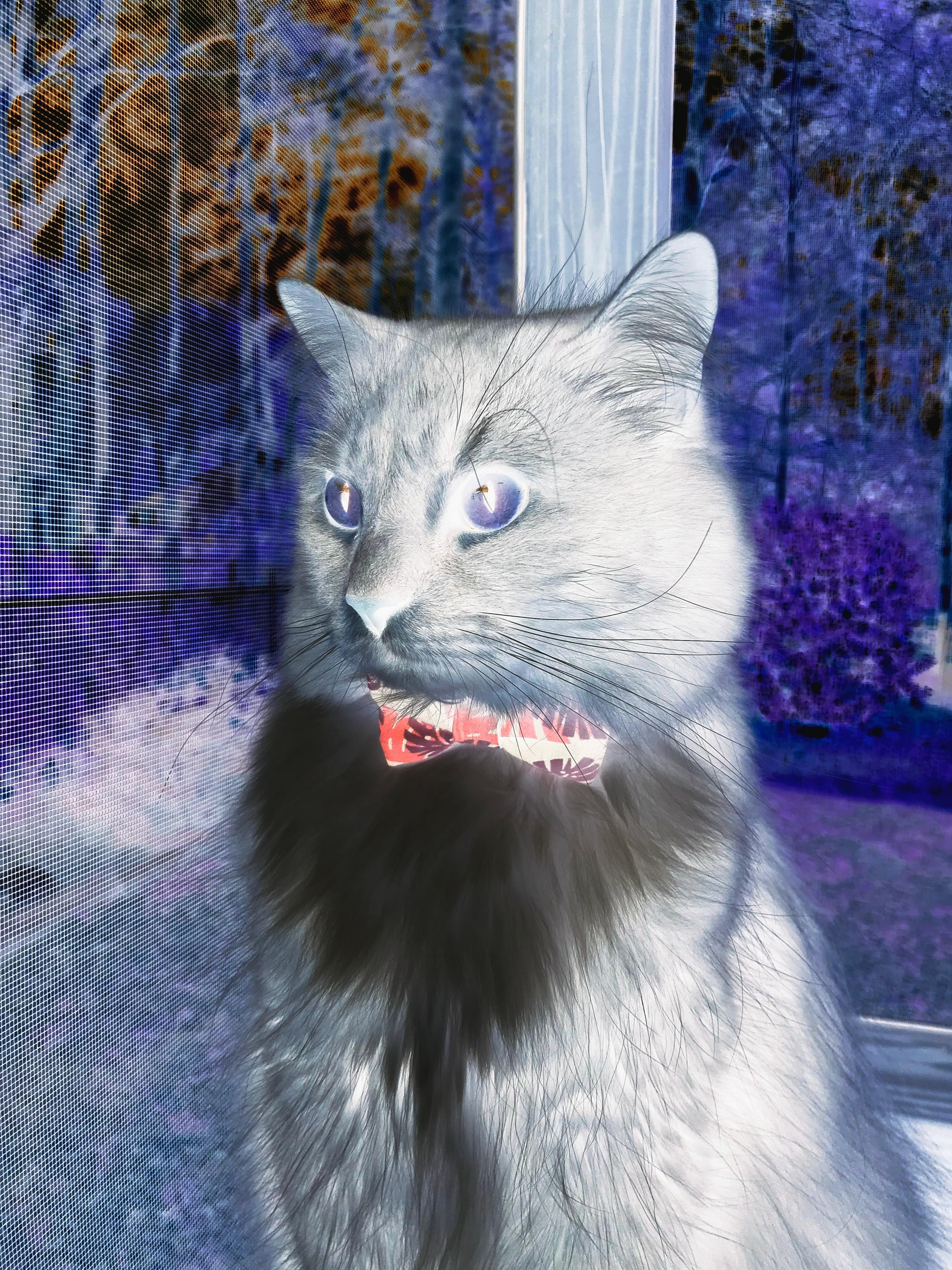 韧性之城对飙天赋之队，文班末节觉醒诠释何为关键先生